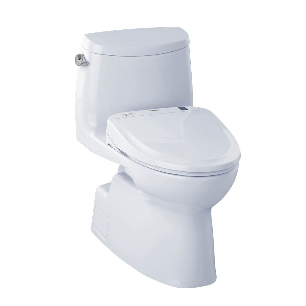 MW614584CEFG#01